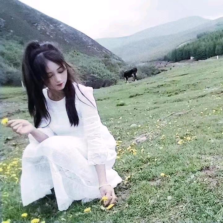 小菲菲
