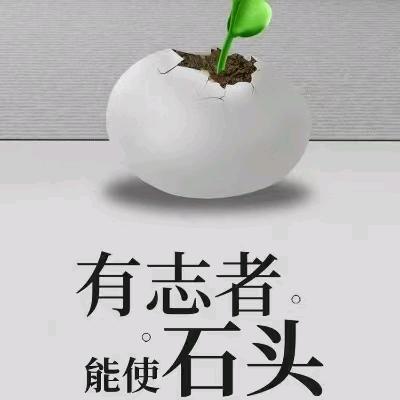 好彩来