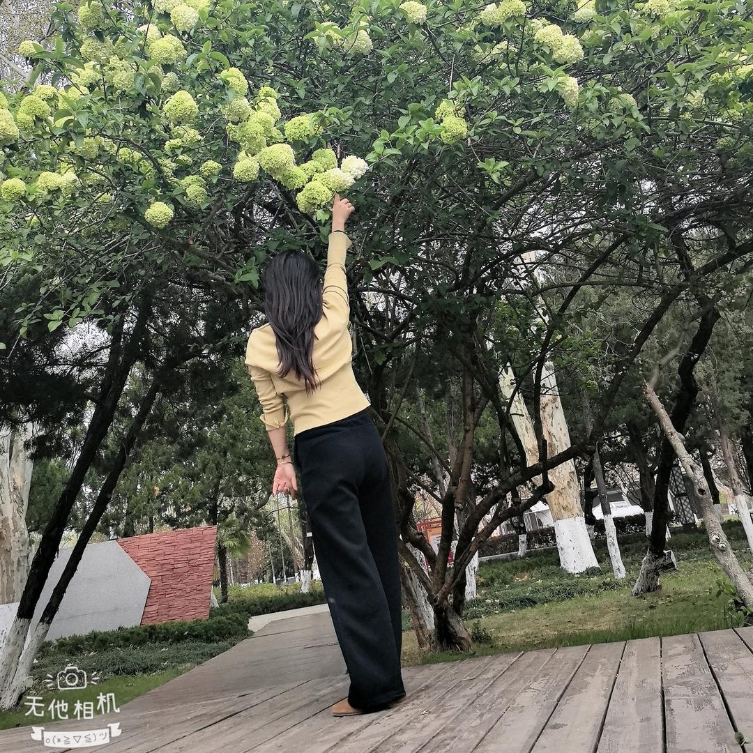 大杰