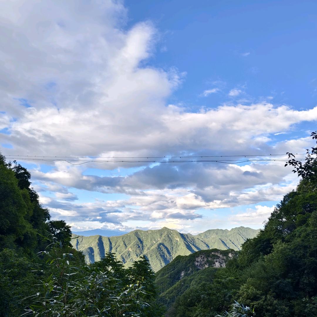 小圆-人生体验官