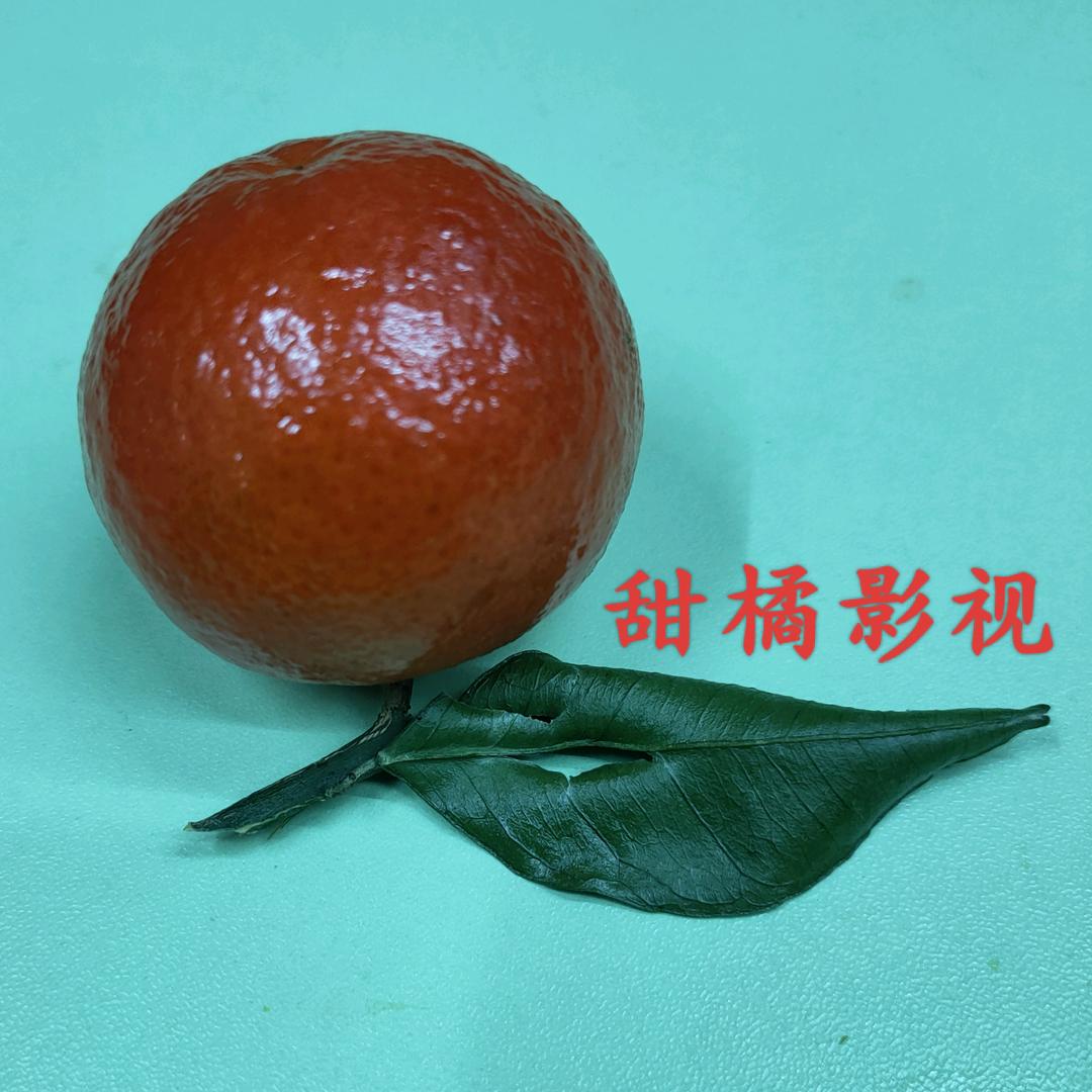倾城一夜雨
