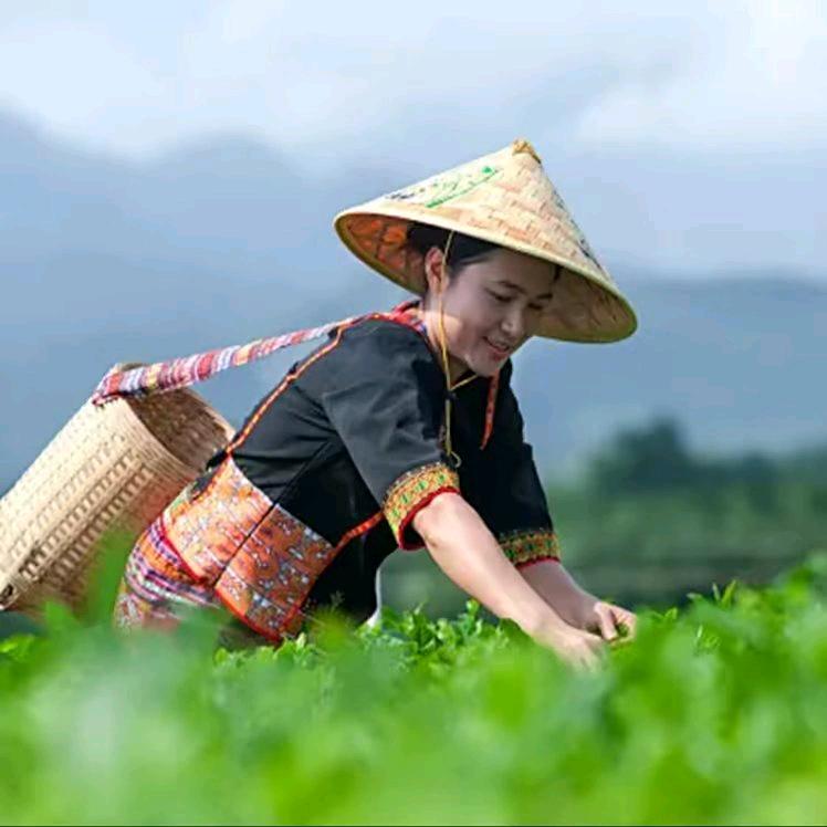 亿条鑫经贸
