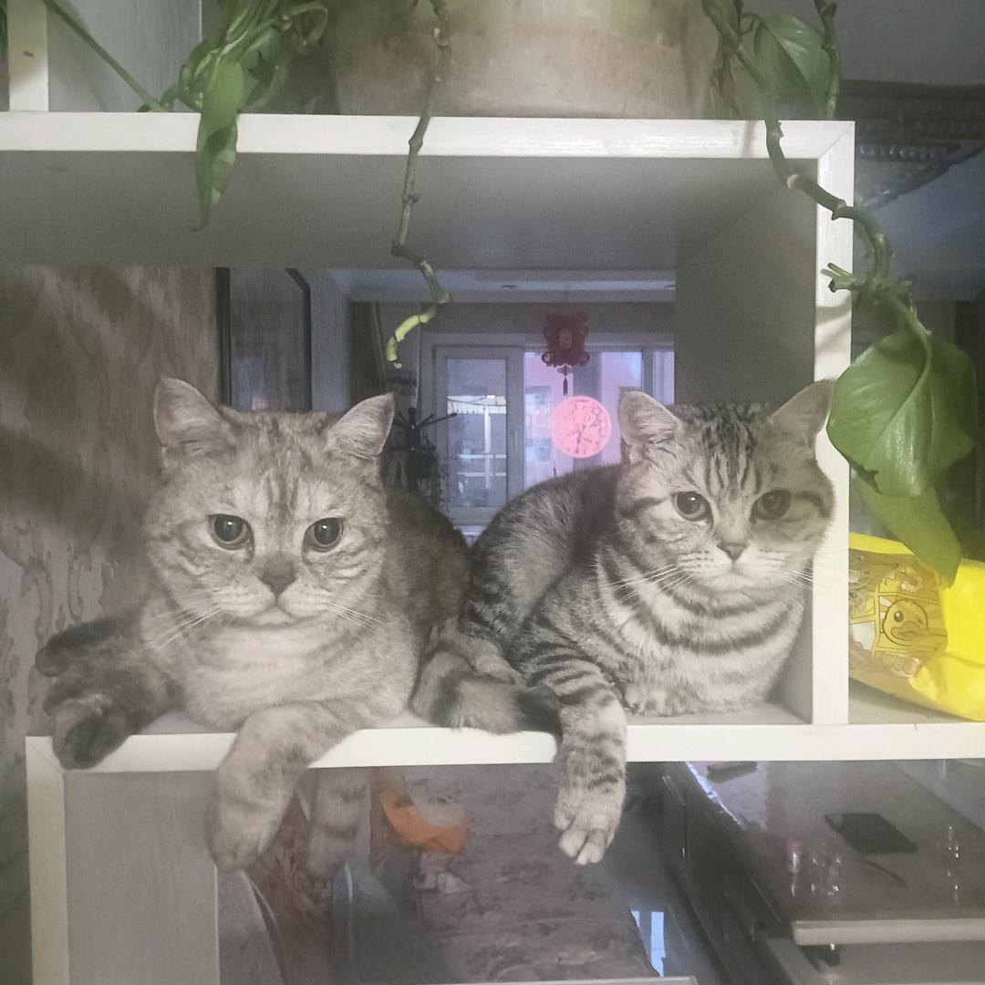 蓝天