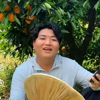 全进华严选