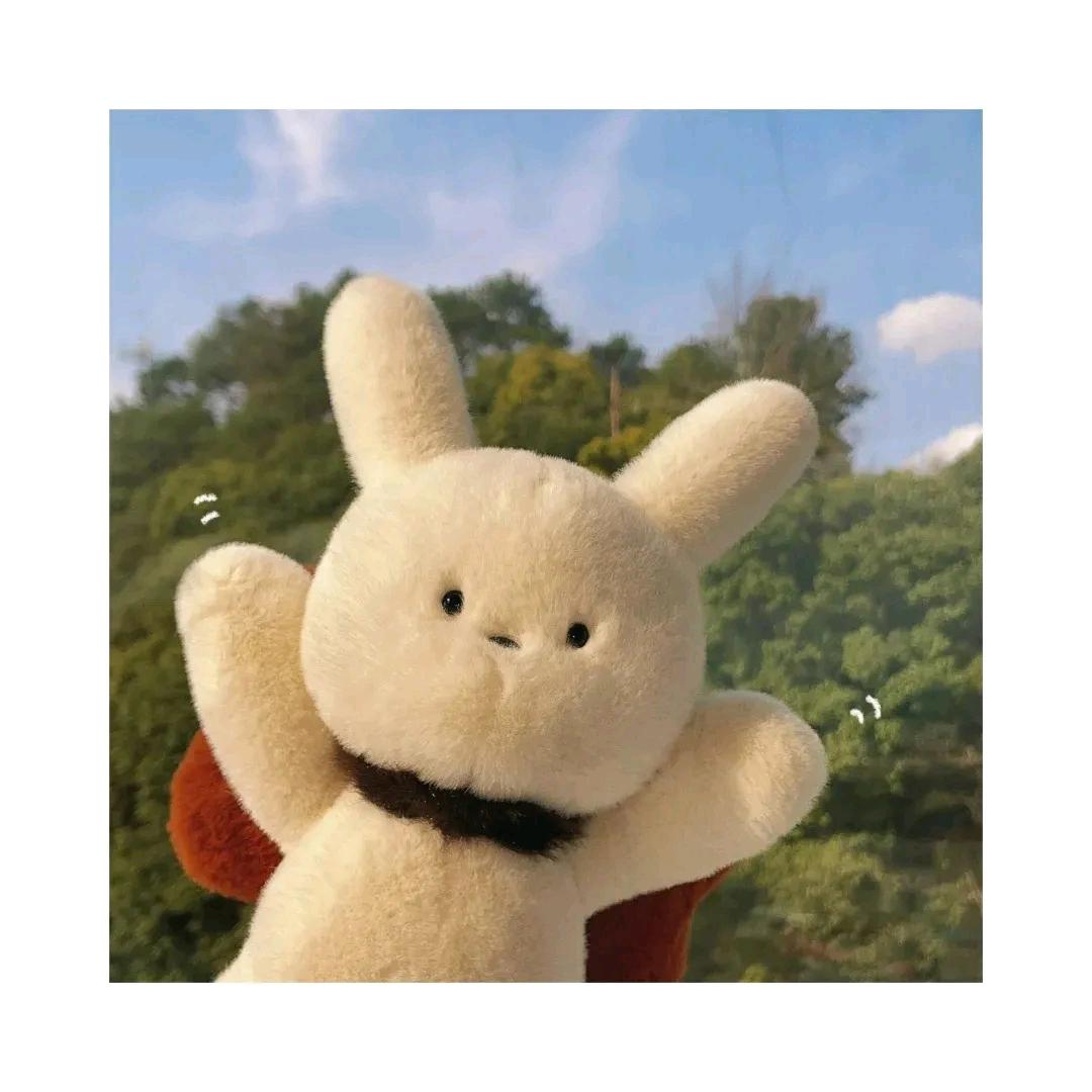 戴眼镜的包子