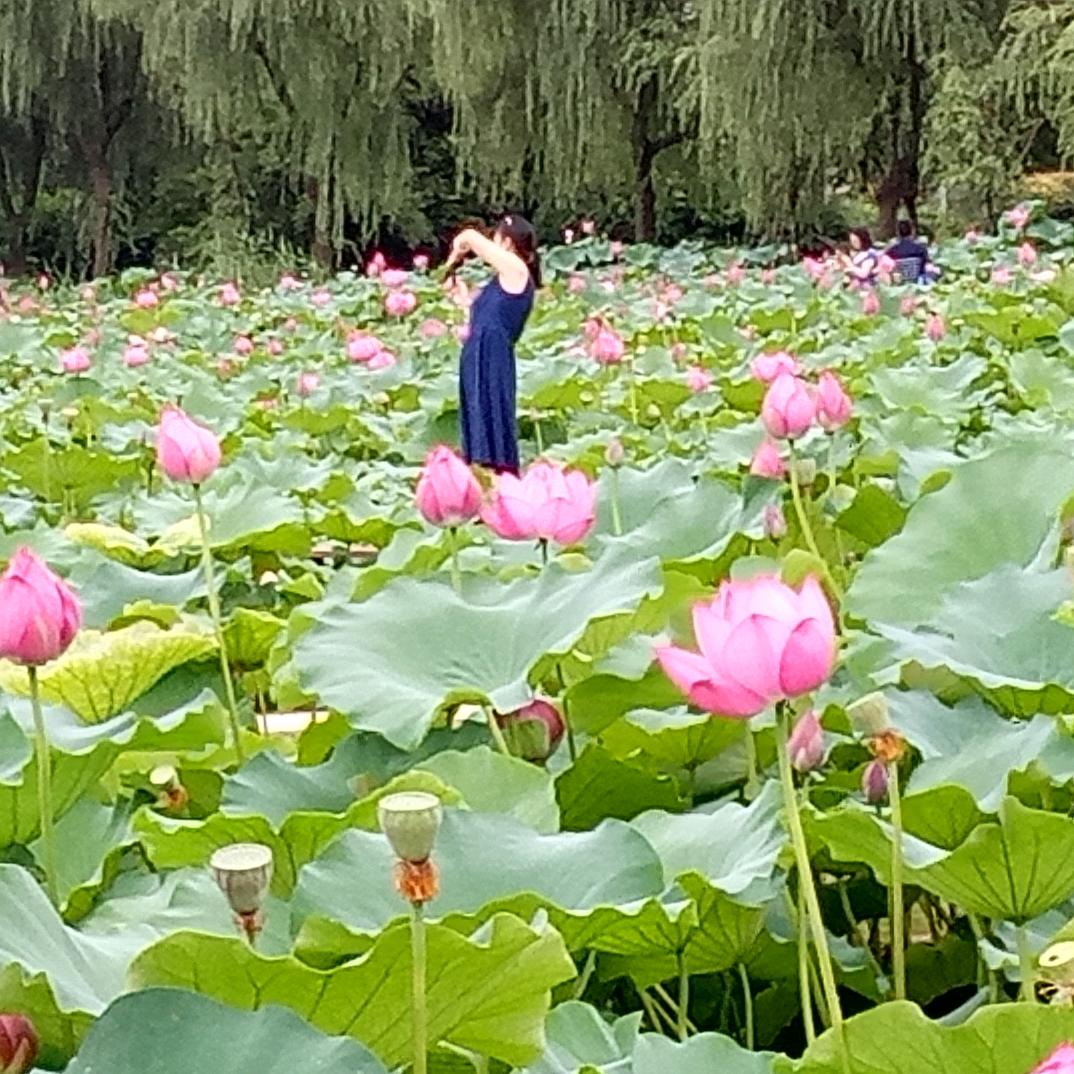 宁静悠然🐲⁰⁵²⁵