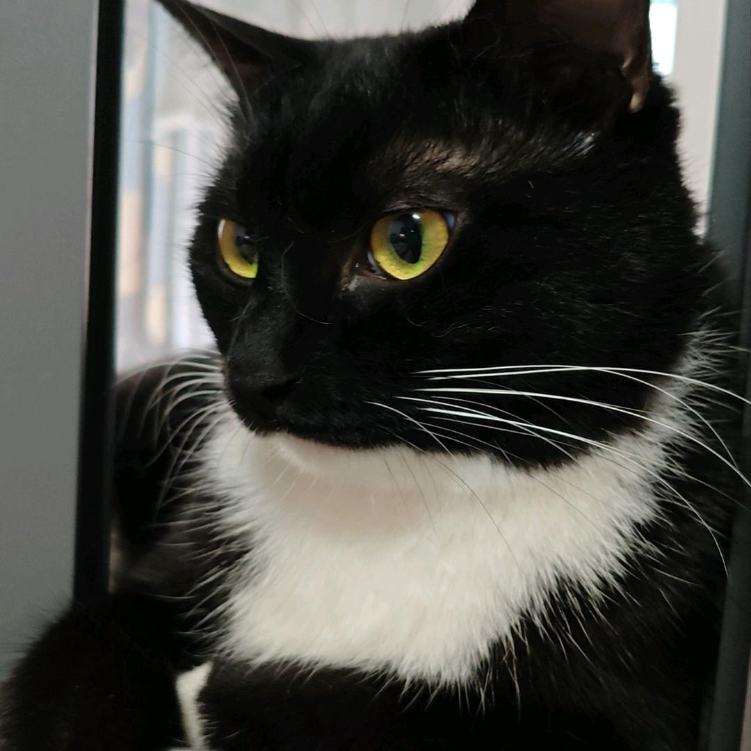 小张陪伴每一天