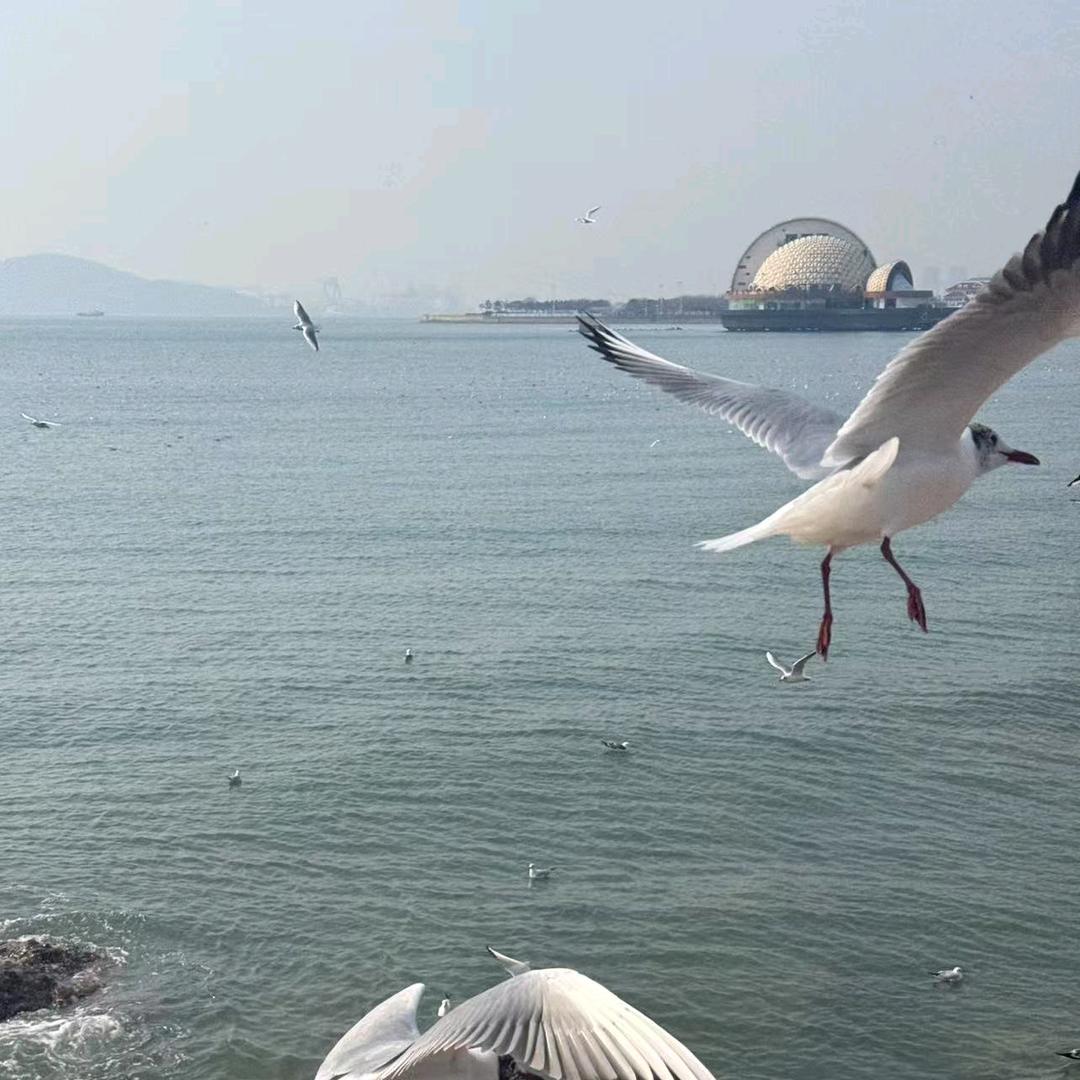 小任性🤗