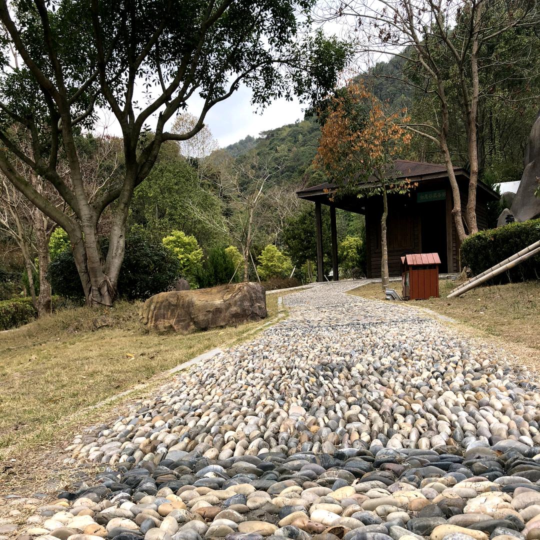 糖豆@