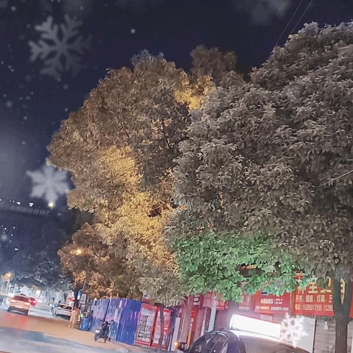 小颜,花果园白宫