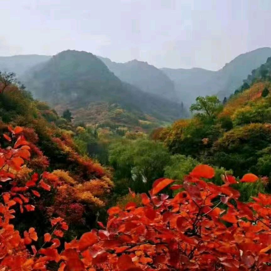 平安吉祥
