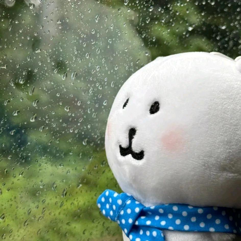 我是自嘲熊的妈咪