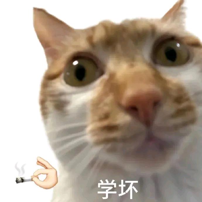 小狗碱水节好吃嘛🥨🍞