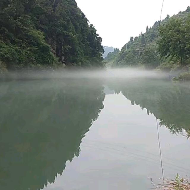 九蜂养殖