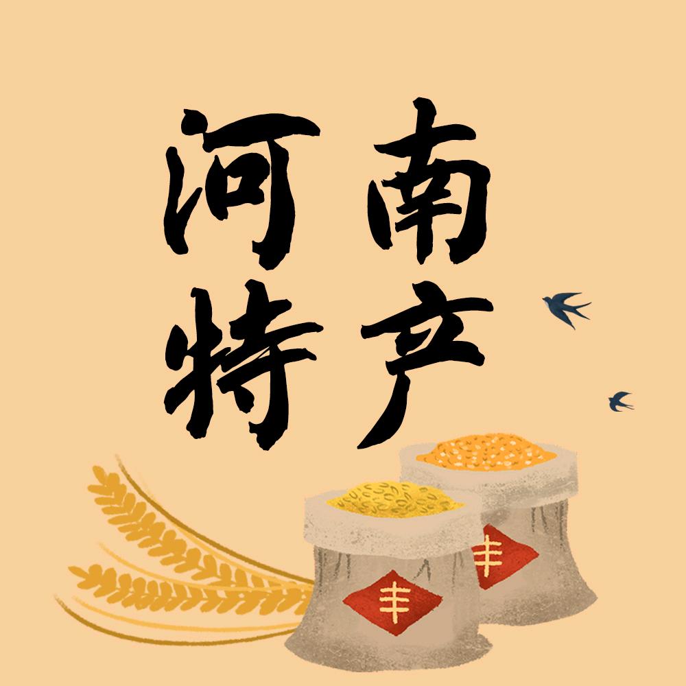 老家 河南