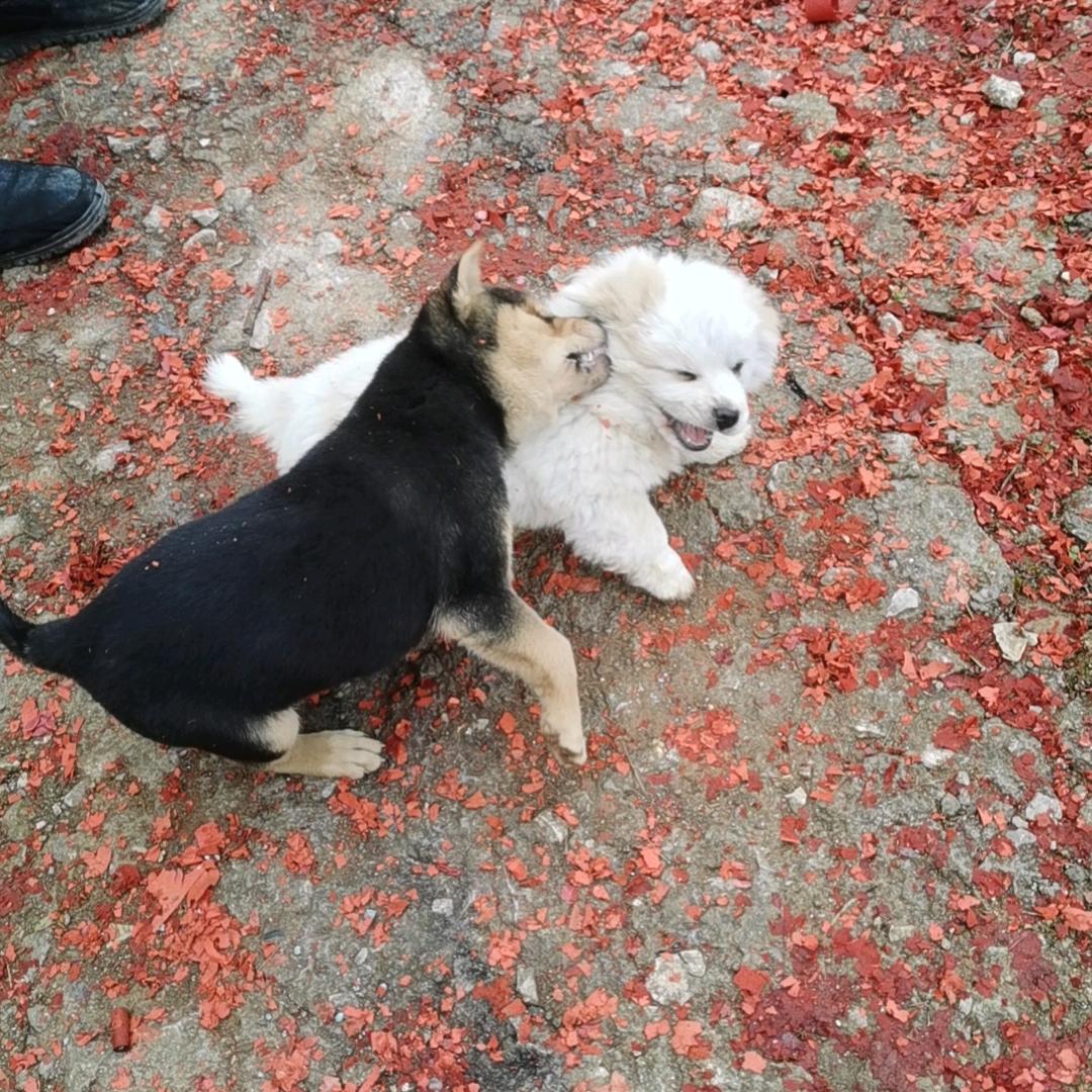 黑金通信营业厅