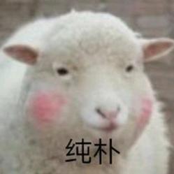 🌈阳关封广洲