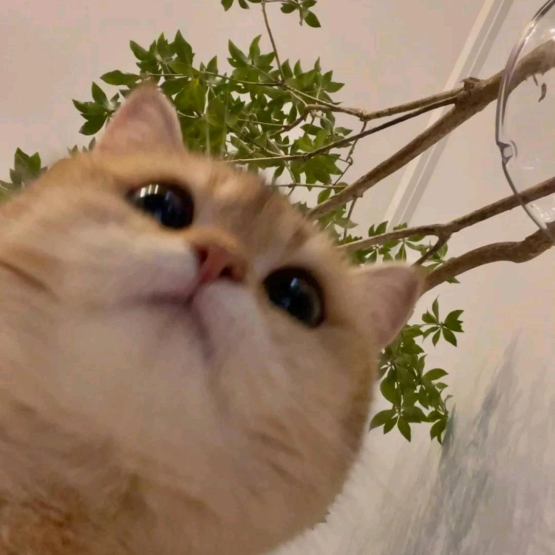 二微