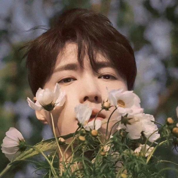 梨花诗🌱💜