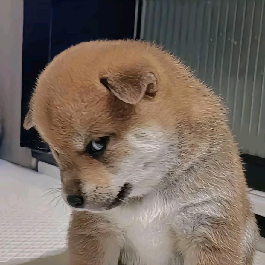 苦涩的微笑、