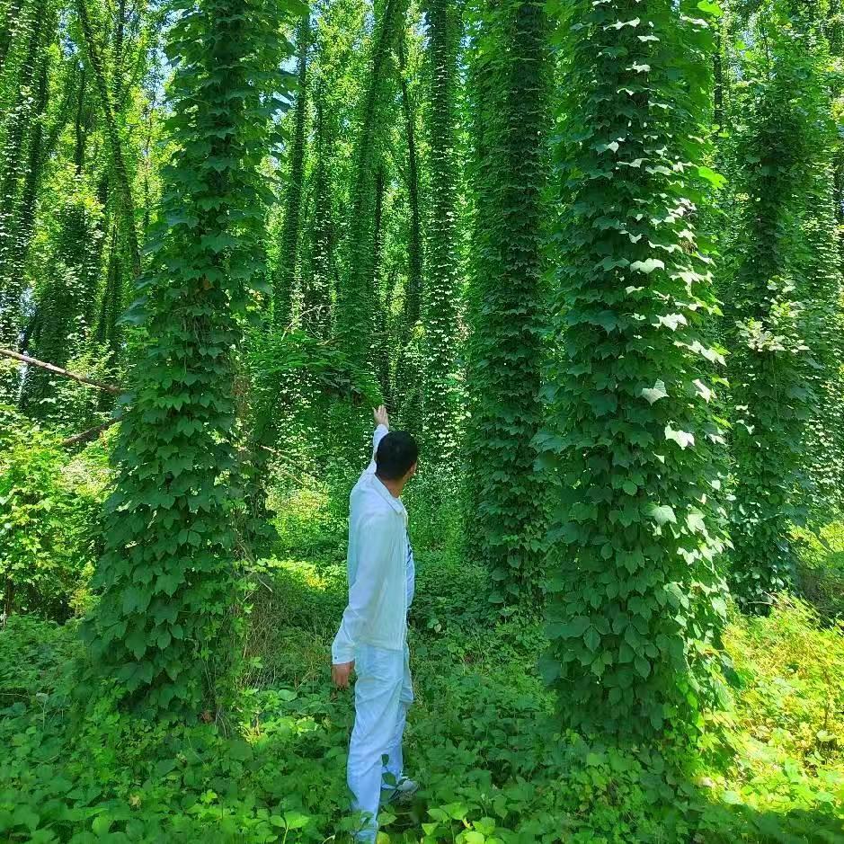 @宁波#冲锋号国防教育