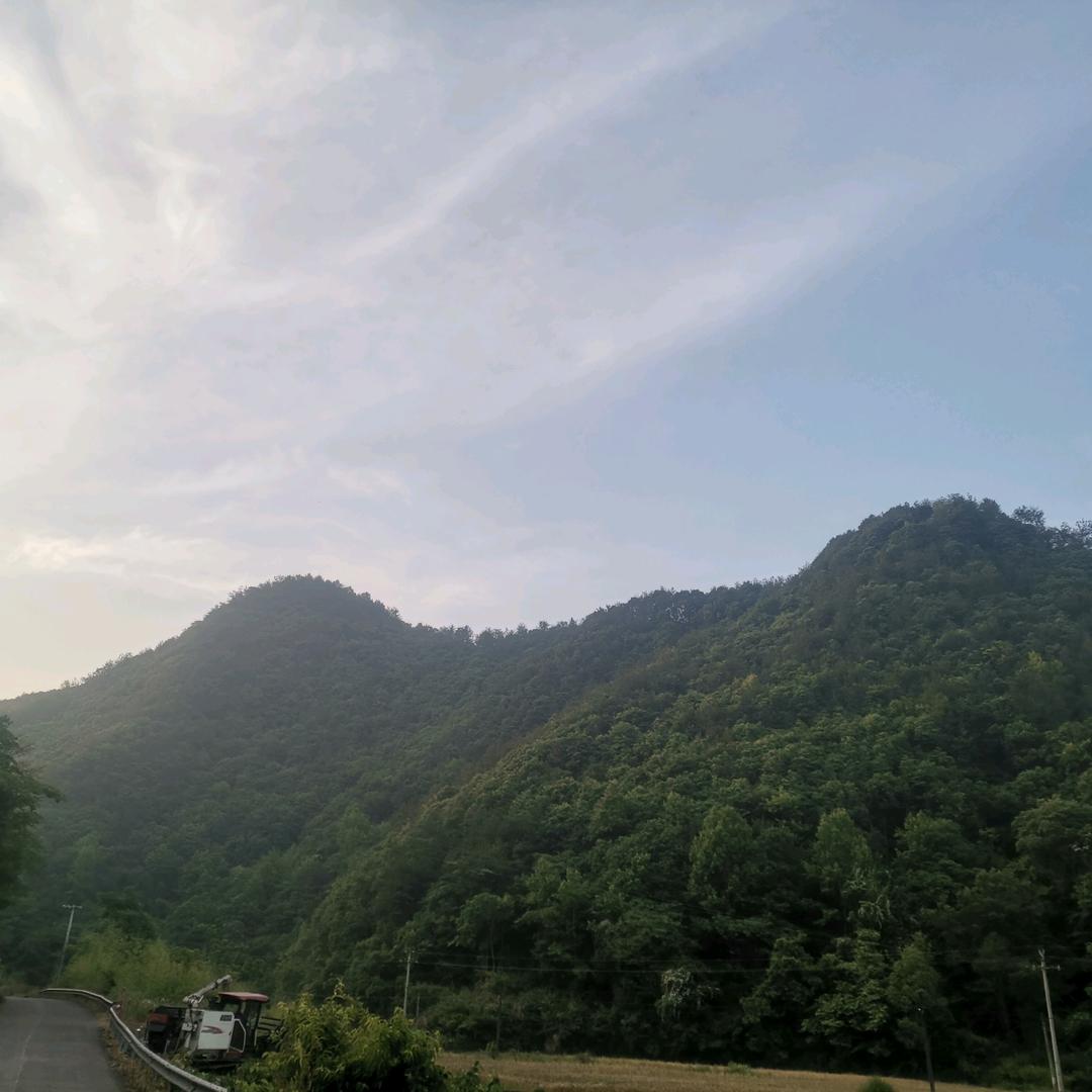 我要嘛