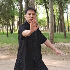 意走太极贾老师