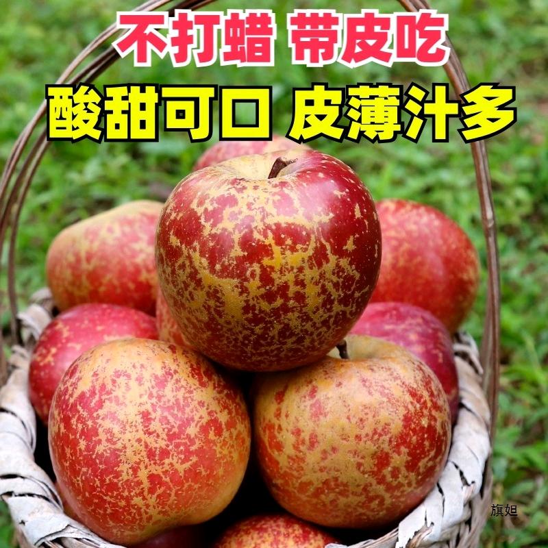 如意姐3949