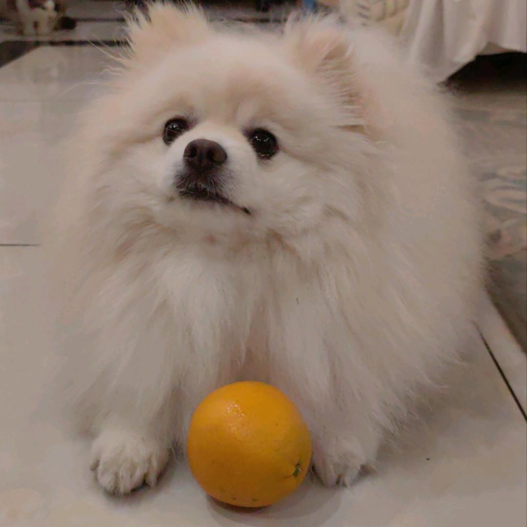 肠粉加辣椒圈