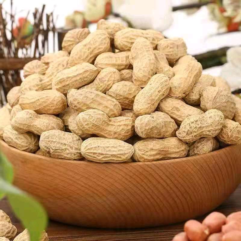 鲁味特产