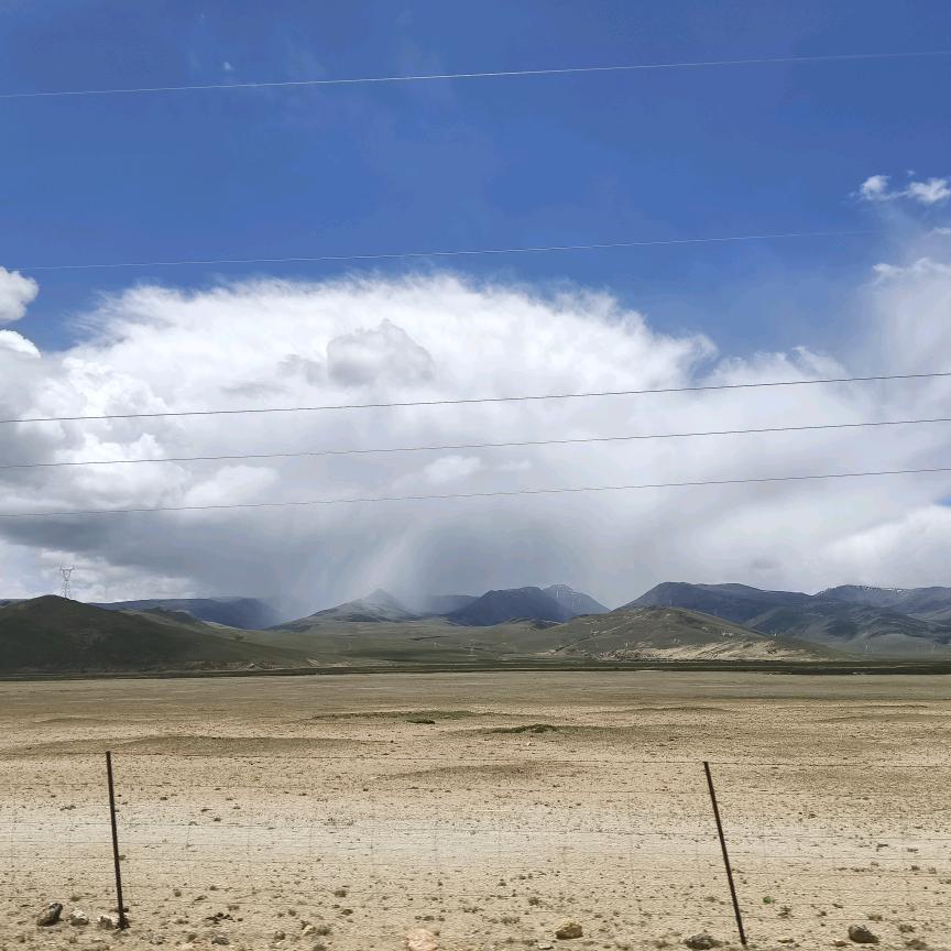 有钱的人先投降