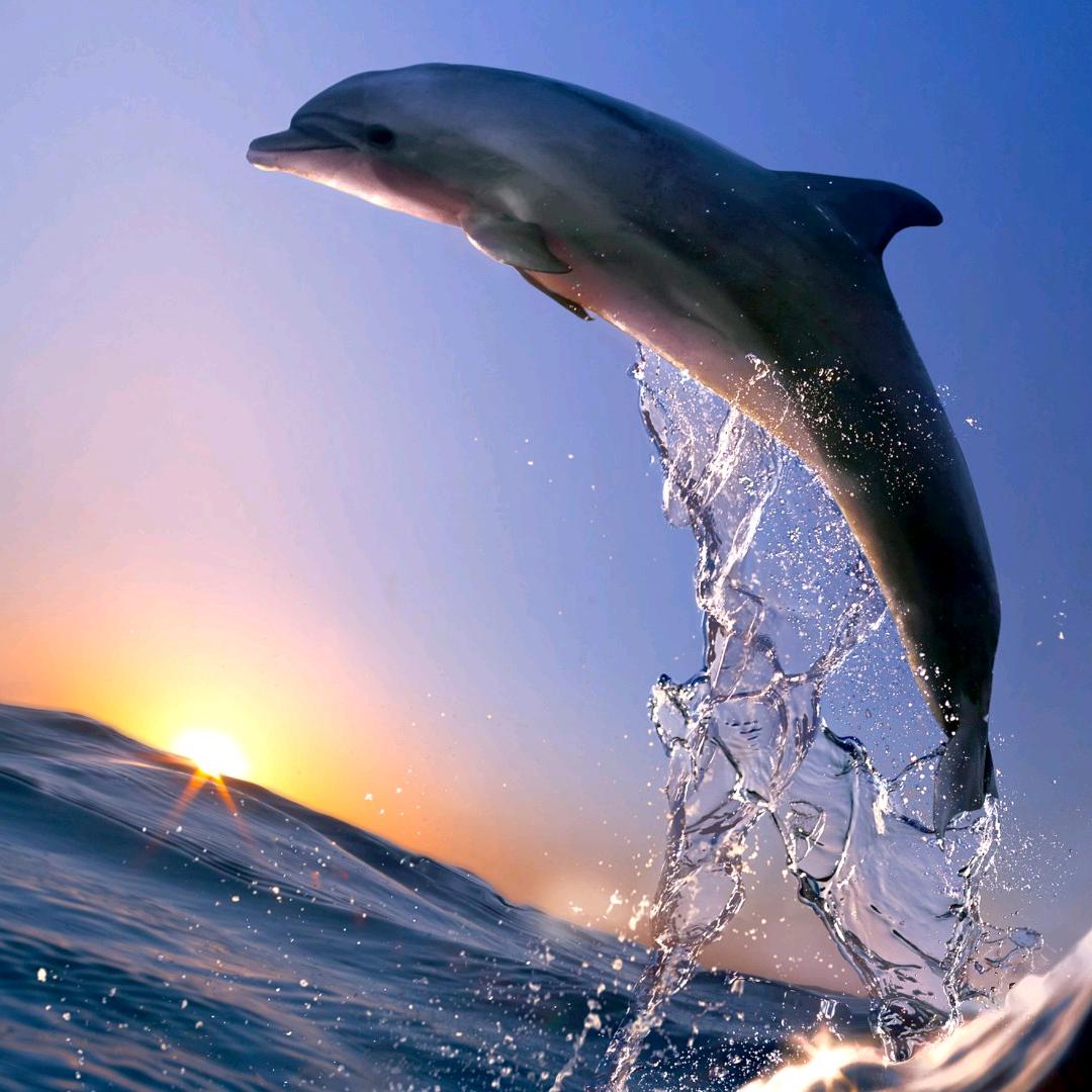 不忘初心🇨🇳