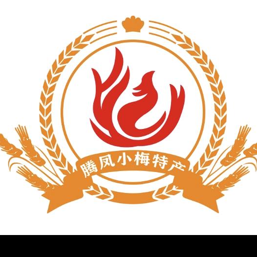 诗诗(腾凤小梅特产)夹江特产店