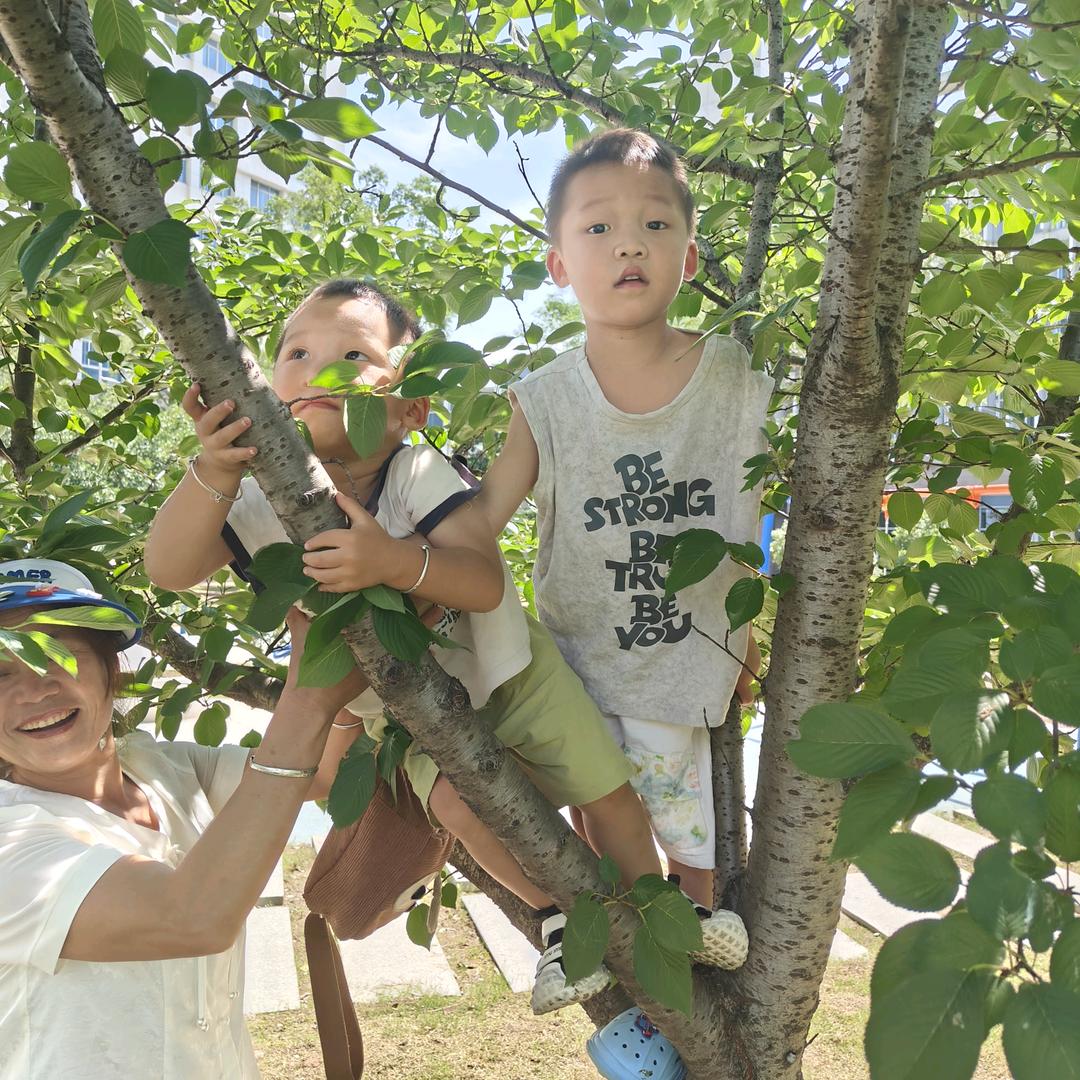开心过好美一天（谢）