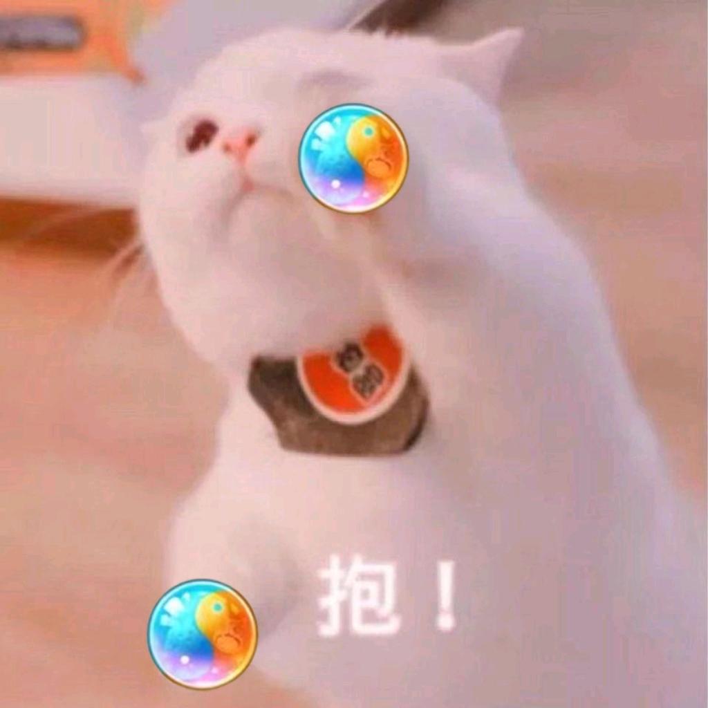 锦鲤小喵咪