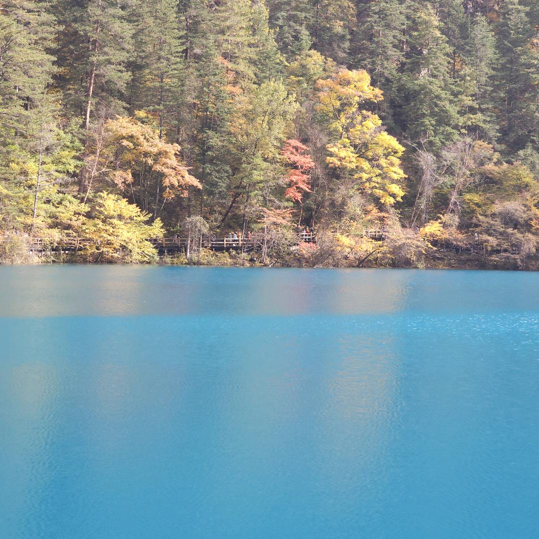 0过1场大雨之后的晴朗