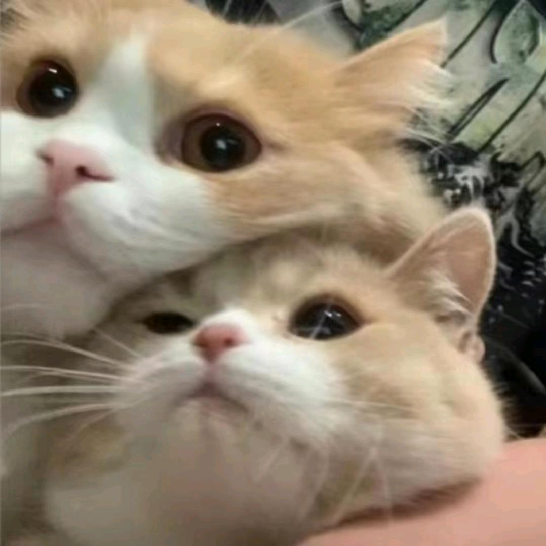 好累应该要活到180岁