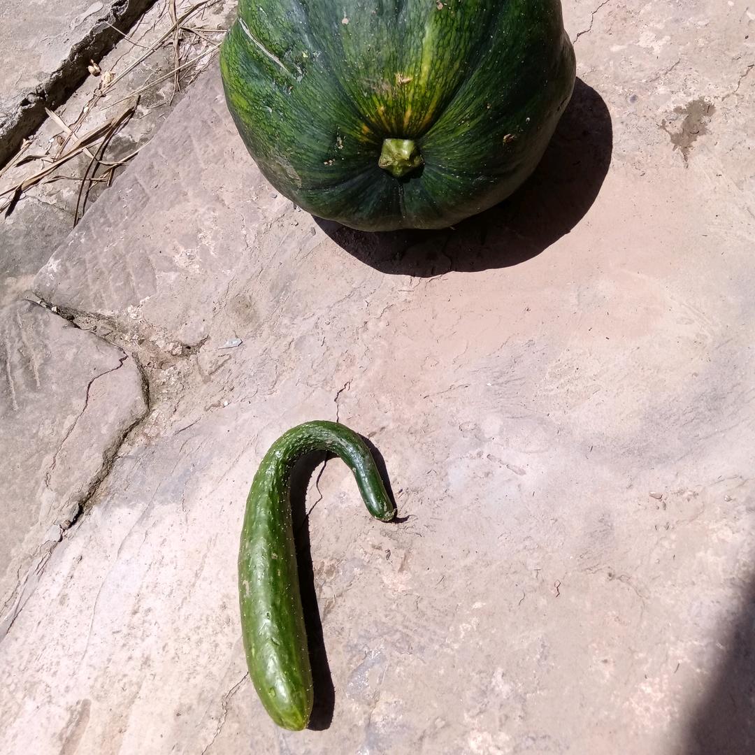 :一生无悔