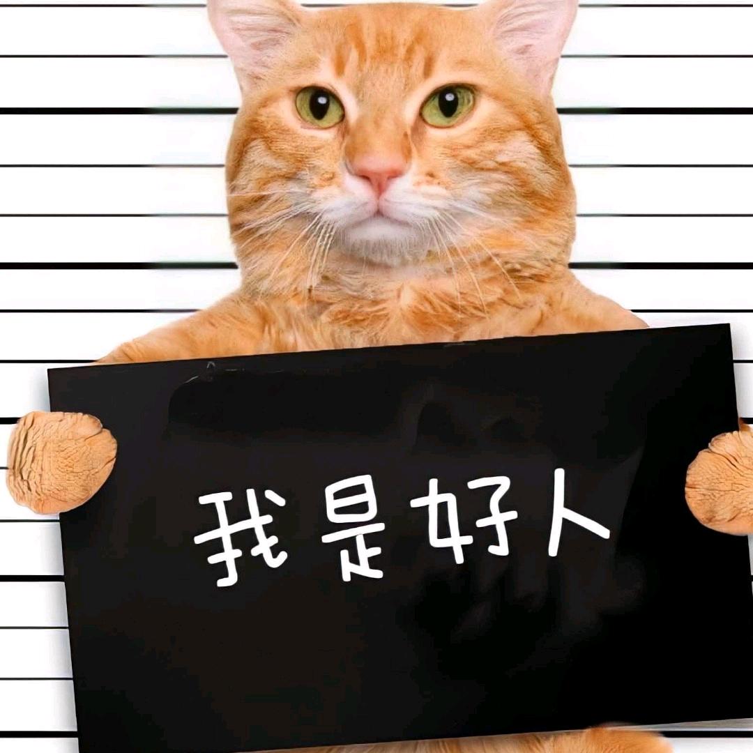 勤屎皇猫meme