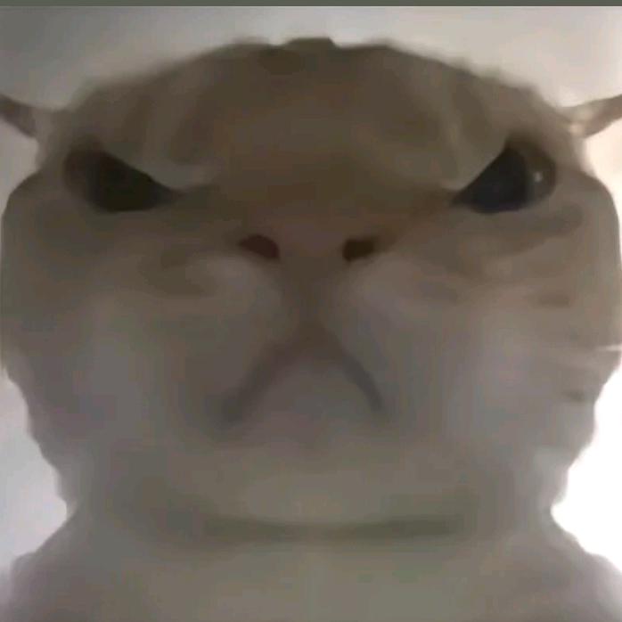 84171674530