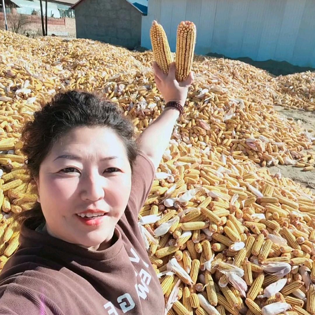 辣姐