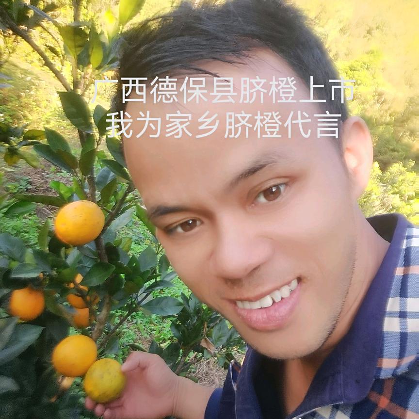 德保县黄建右水果店