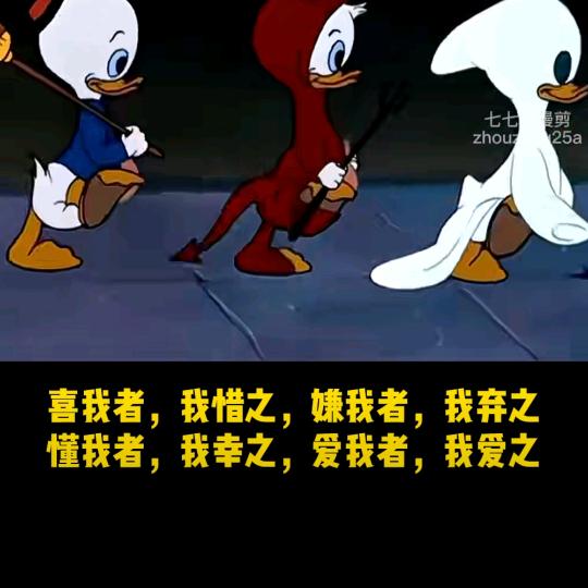 小赵