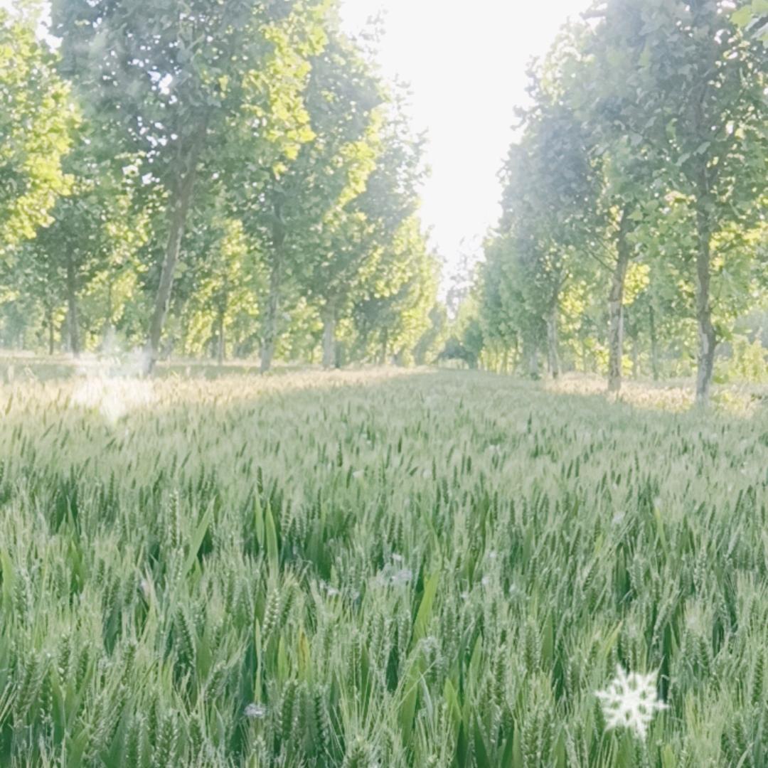 第一江山春好处、大楼街