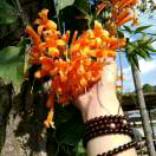 笑对生活🌴🌻💫