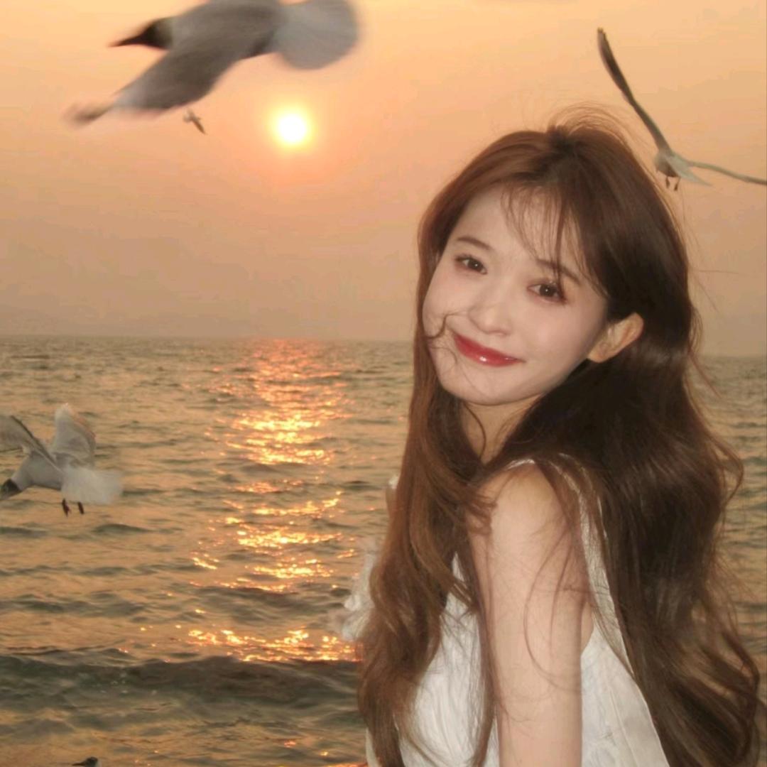夏日66