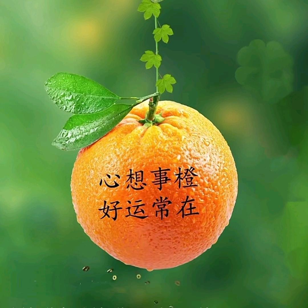 红颜知己