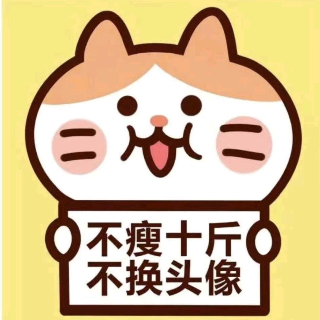 莎莎的日常
