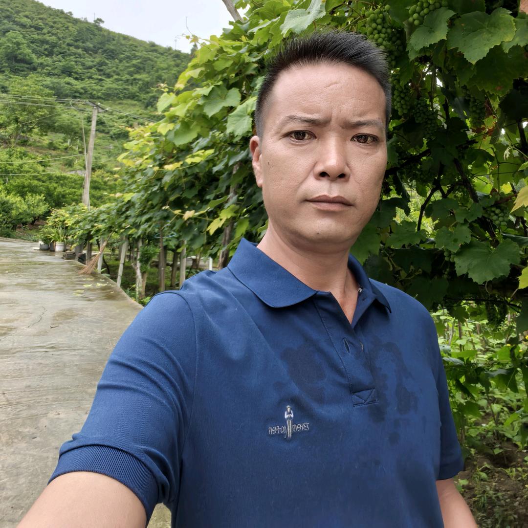 林哥哥