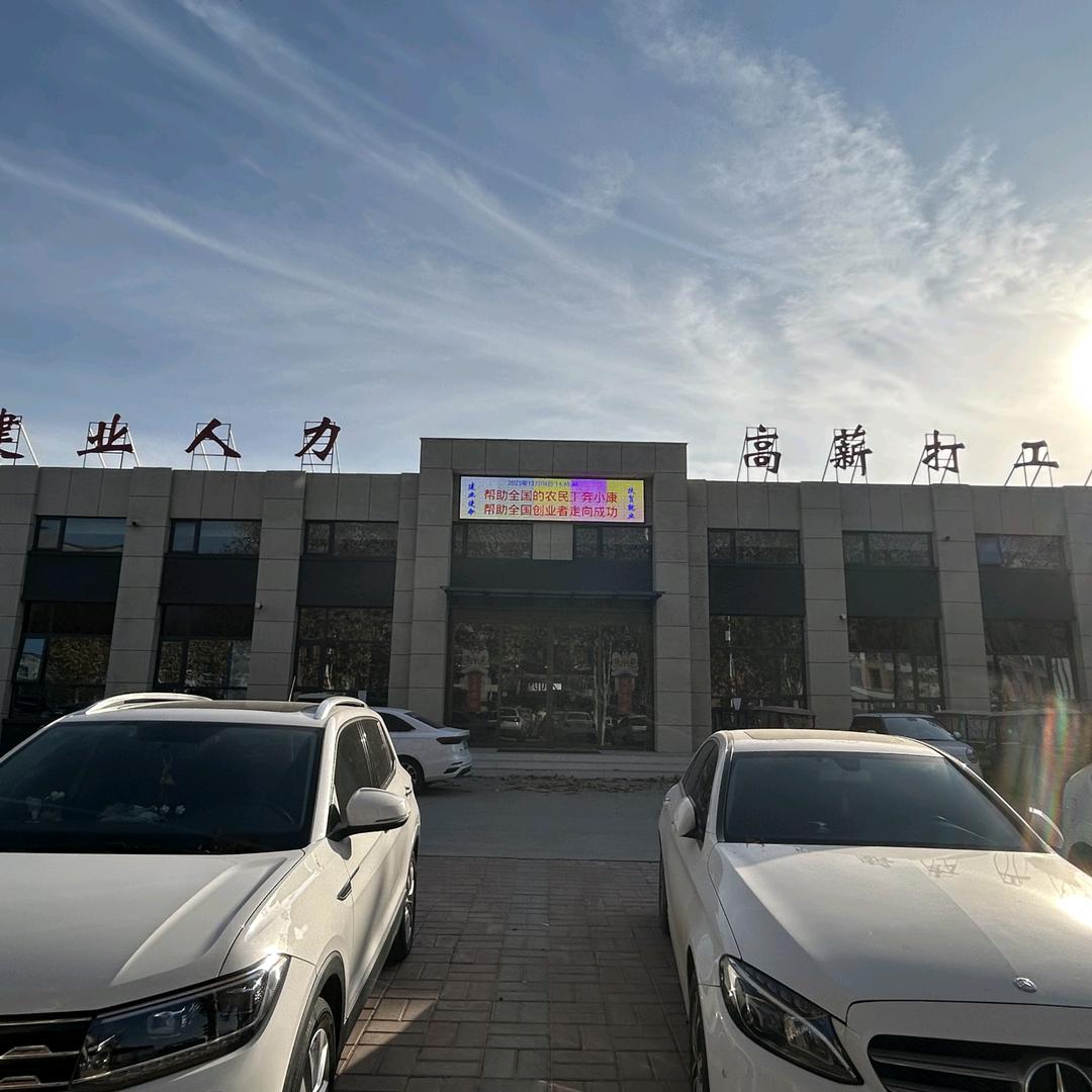 新乡讲工作的彩姐